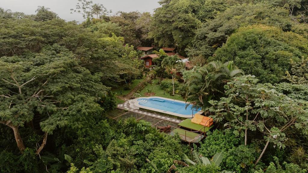 Tajo Alto Lodge Mirador - Great Swimming Pool - Kitchen - Bbq - Netflix מראה חיצוני תמונה