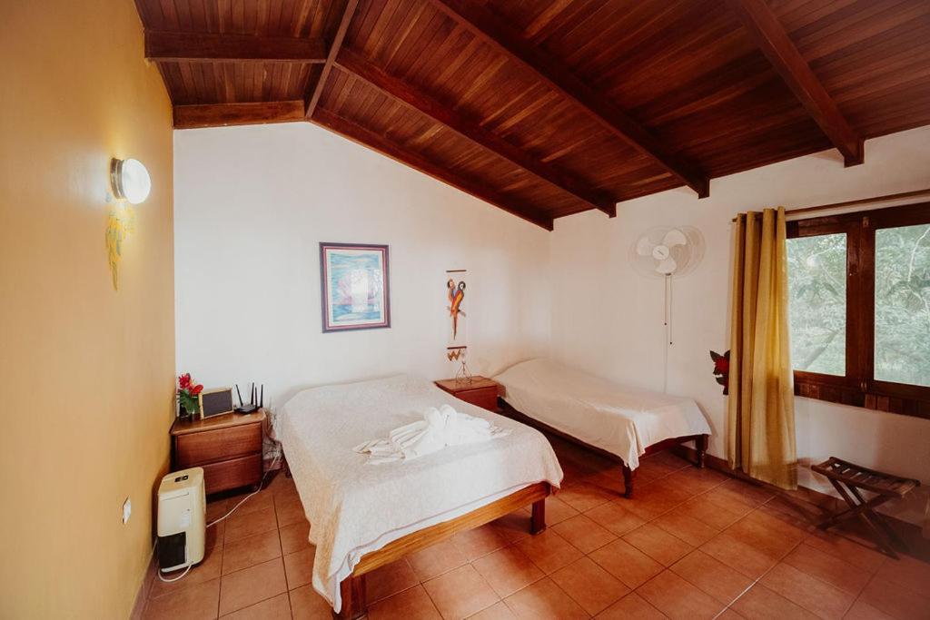Tajo Alto Lodge Mirador - Great Swimming Pool - Kitchen - Bbq - Netflix מראה חיצוני תמונה
