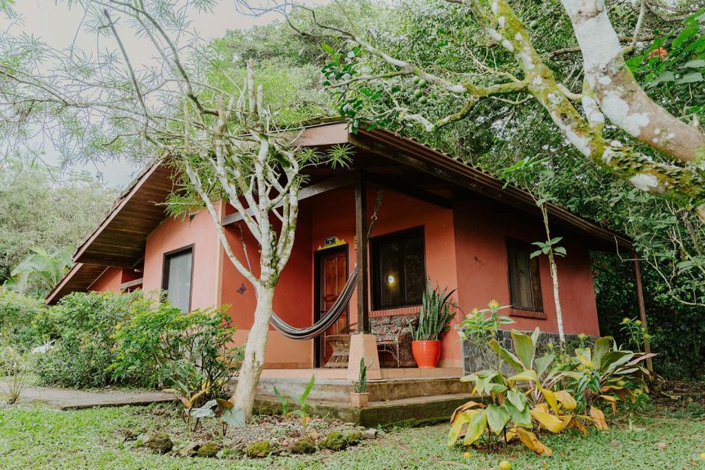 Tajo Alto Lodge Mirador - Great Swimming Pool - Kitchen - Bbq - Netflix מראה חיצוני תמונה