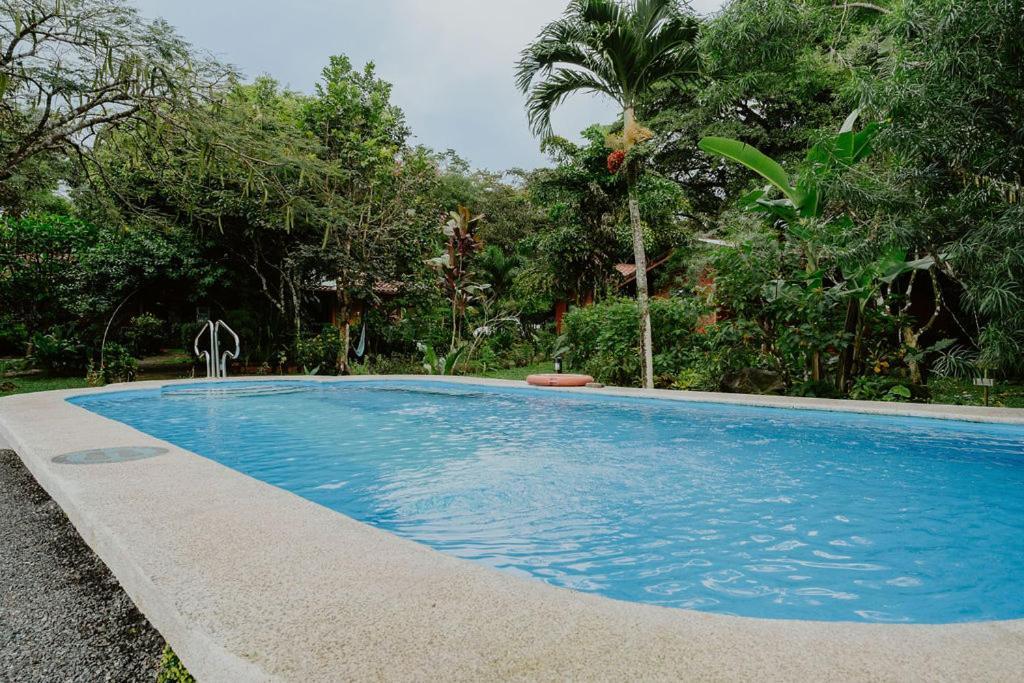 Tajo Alto Lodge Mirador - Great Swimming Pool - Kitchen - Bbq - Netflix מראה חיצוני תמונה