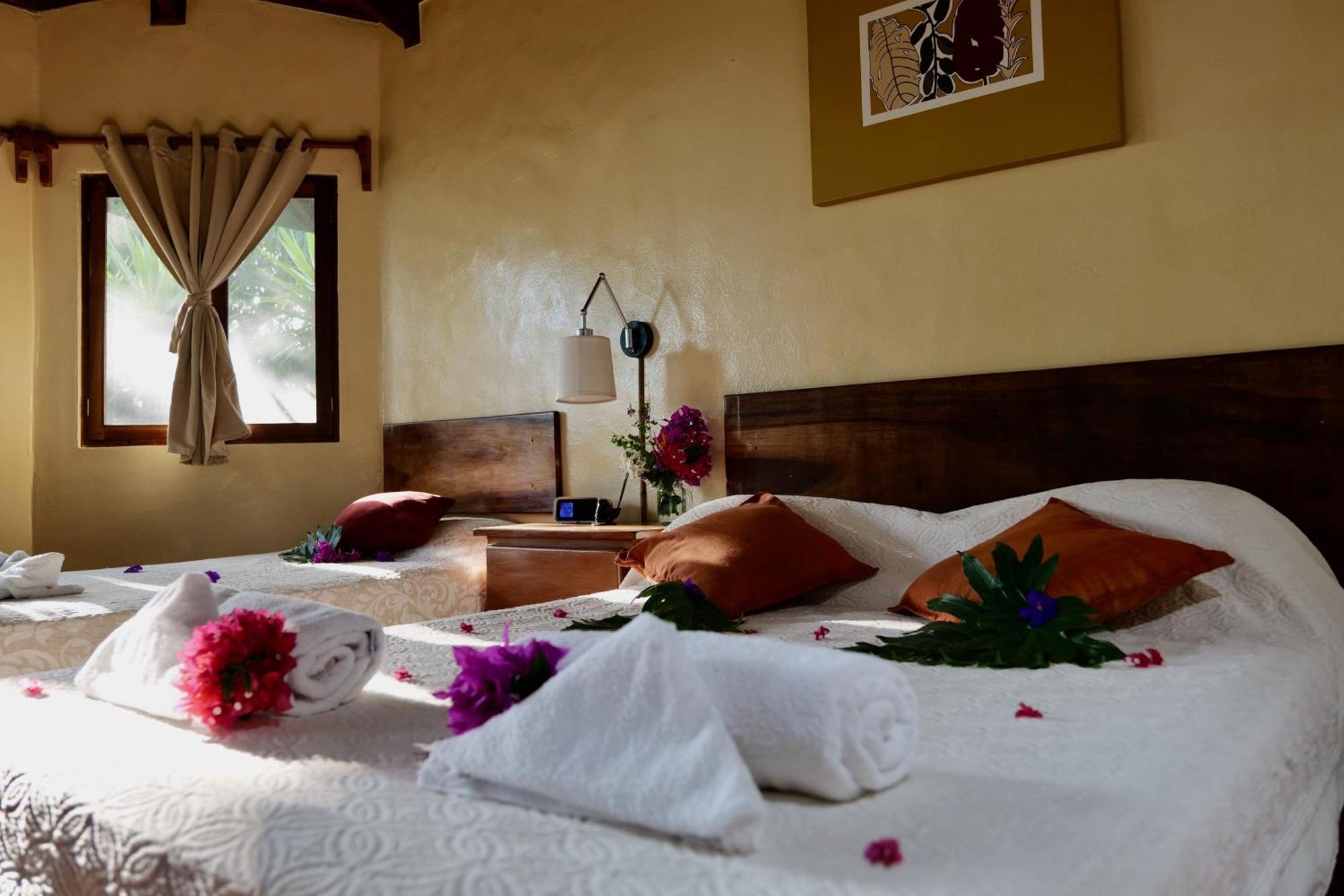 Tajo Alto Lodge Mirador - Great Swimming Pool - Kitchen - Bbq - Netflix מראה חיצוני תמונה